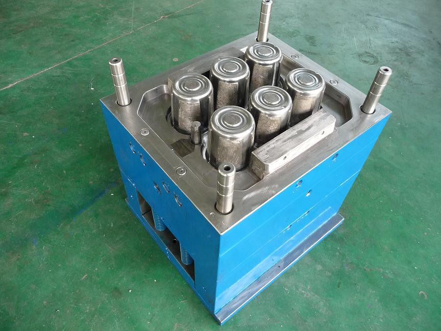 Single / Multi Cavity Mold